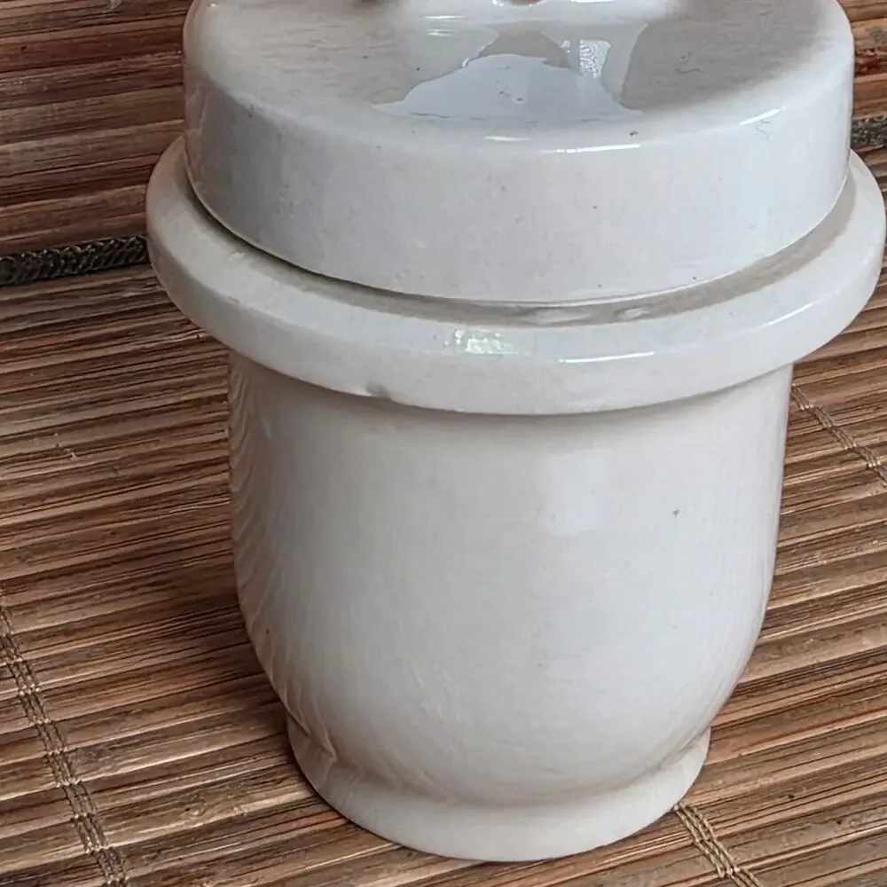 Antique Taylor Tunnicliffe Egg Coddler England Porcelain Covered Cup